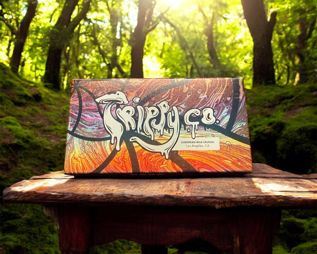 The Powerful Union of Dark Chocolate and Functional Mushrooms